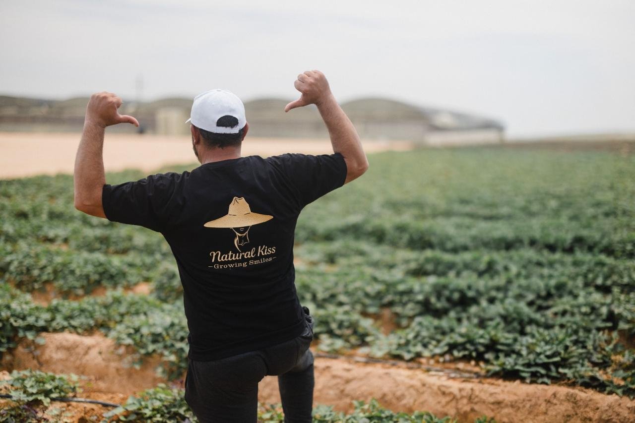 Own production fields