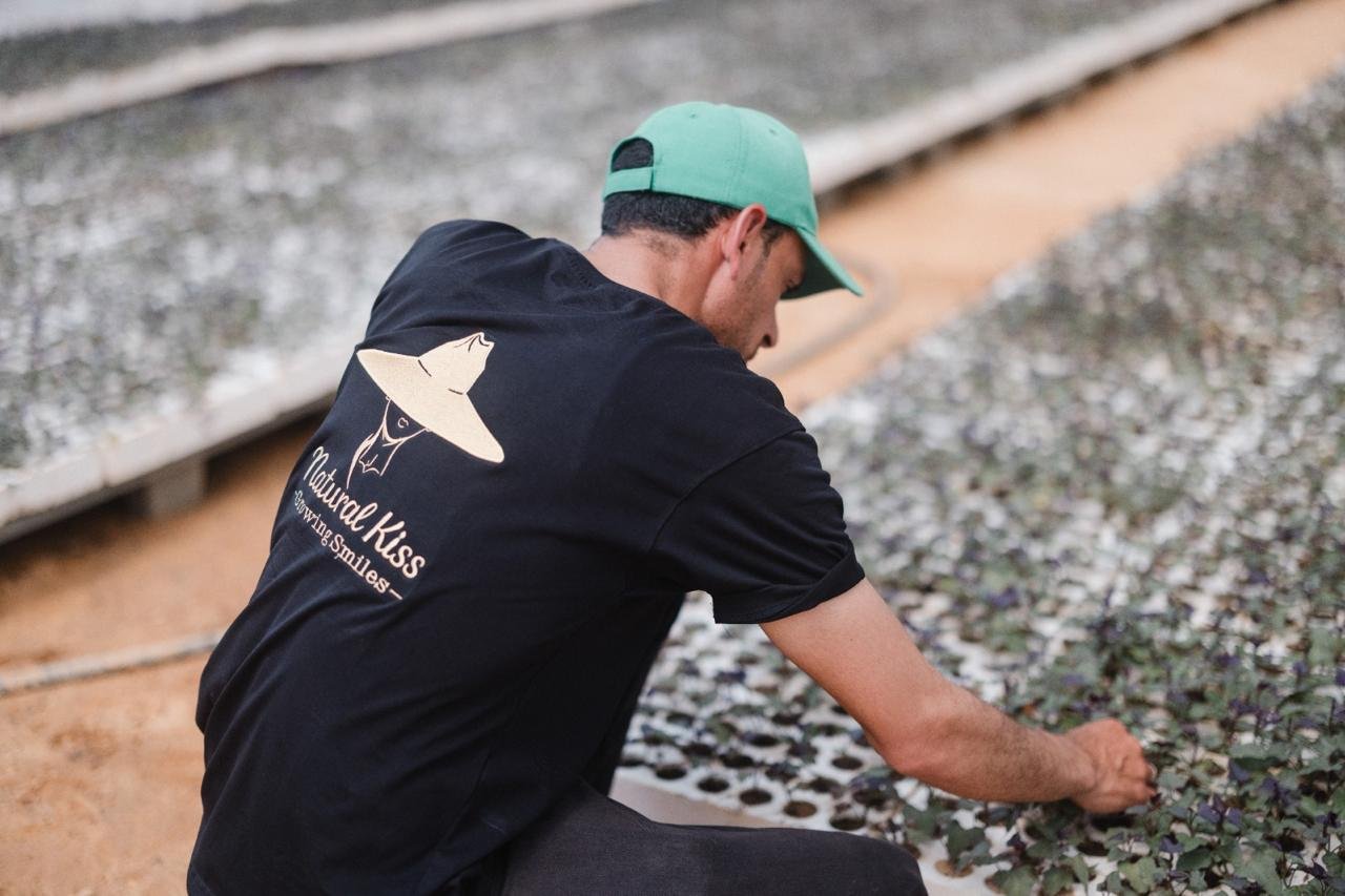 Grower tending nursery seedlings